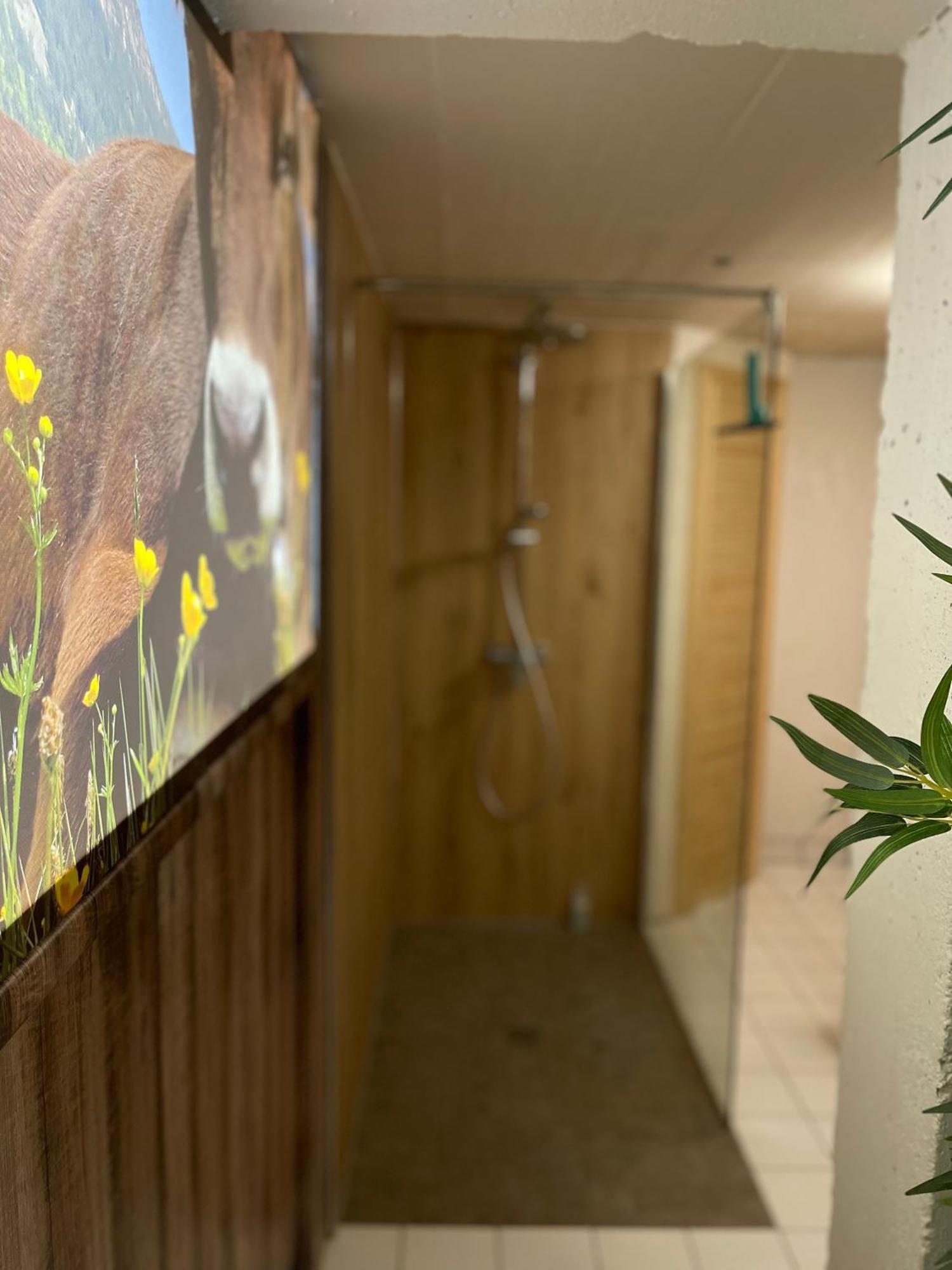Ferienwohnung Am Muhlbach 21 Mit Bergbahn Unlimited Όμπερσντορφ Εξωτερικό φωτογραφία